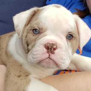 Meet your Posher, Jeannette